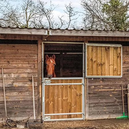 Vakantiehuis La Maison Du Cavalier Bleu By Interhome *