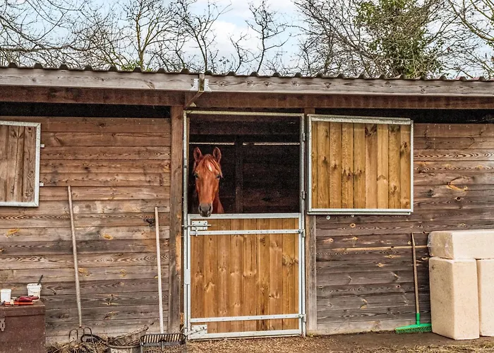 Vakantiehuis La Maison Du Cavalier Bleu By Interhome *