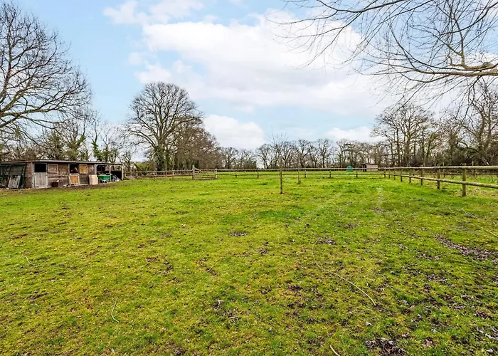 La Maison Du Cavalier Bleu By Interhome Trouville-sur-Mer